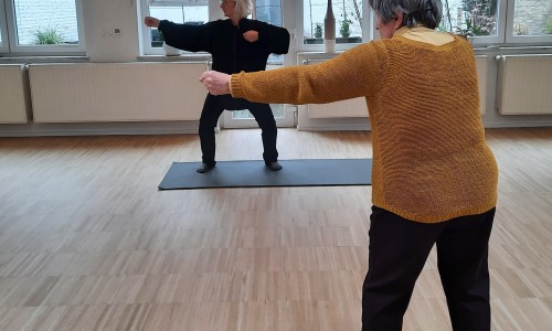 Qi Gong - Parkinson