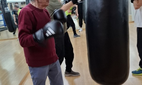 Boxe Action Parkinson