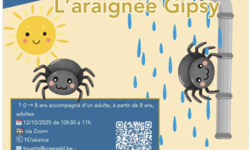Comptine signée via Zoom