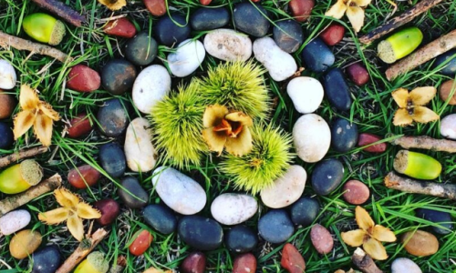 Atelier créatif « Mandalas éphémères dans la nature »