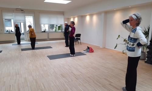 Qi Gong - Parkinson