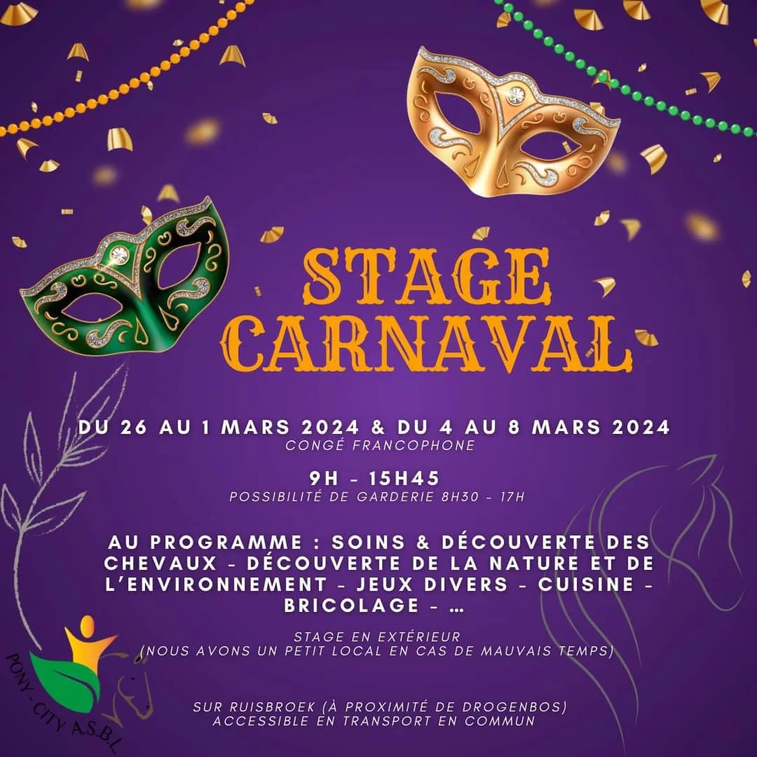 Stage de Carnaval