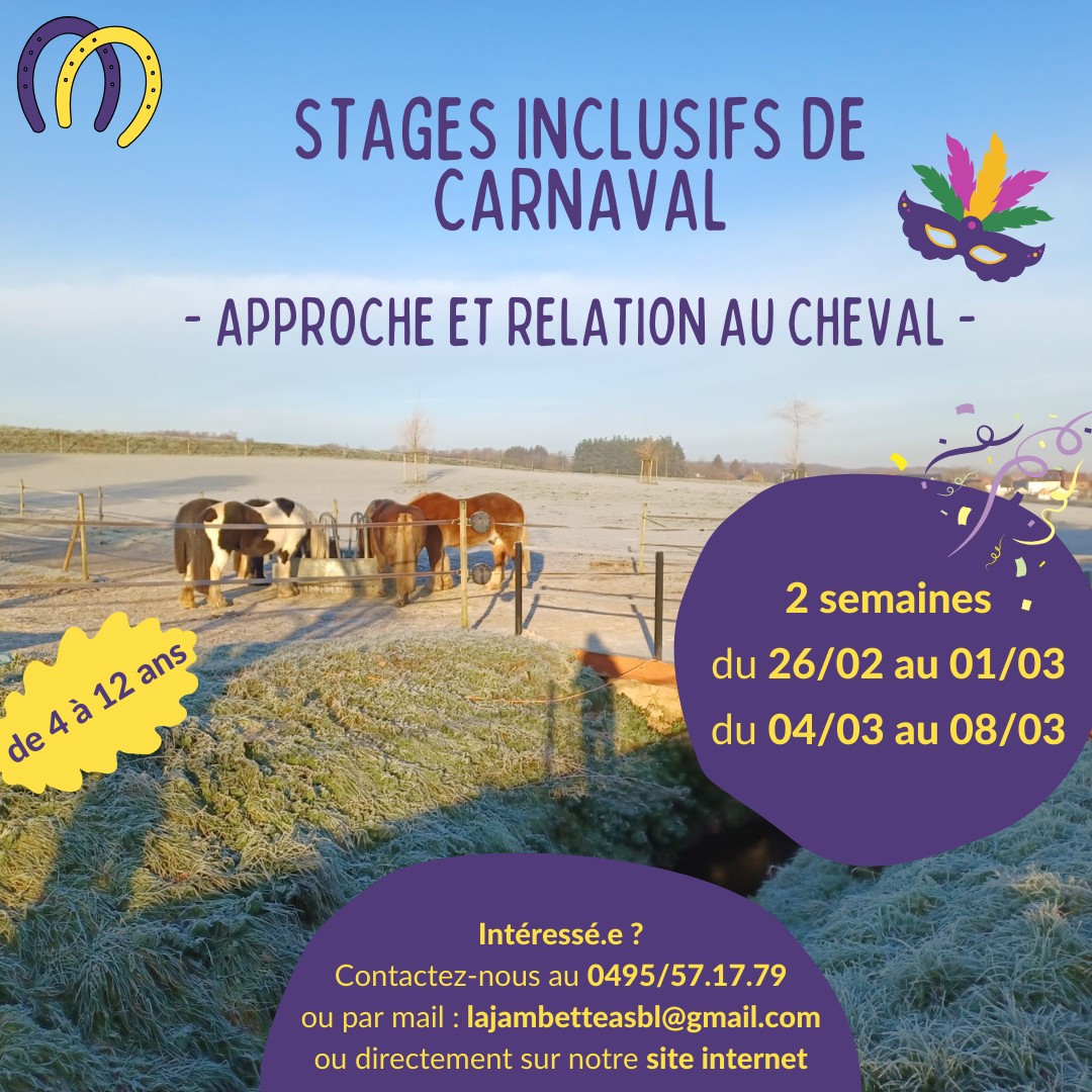 Stages inclusifs au carnaval