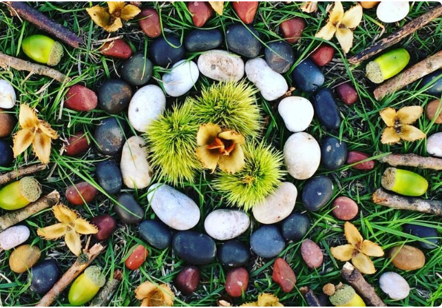 Atelier créatif « Mandalas éphémères dans la nature »