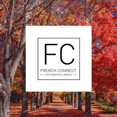 French Connect (France-Belgique)
